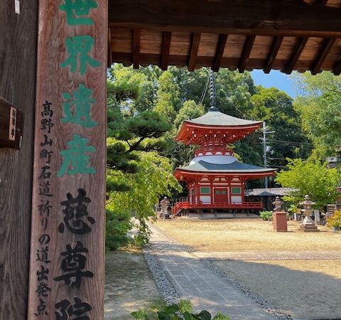 だから九度山なんや