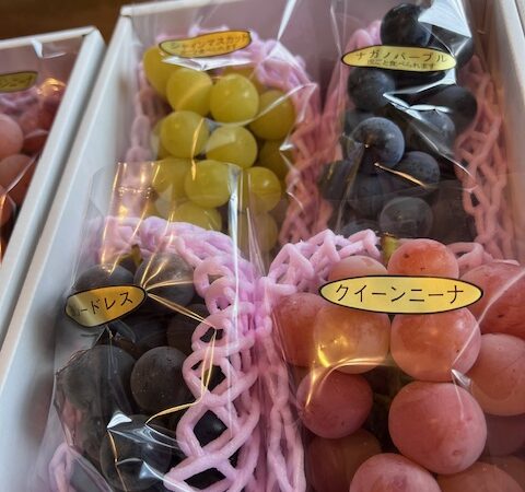 糖度２３度は、ホンマ甘い