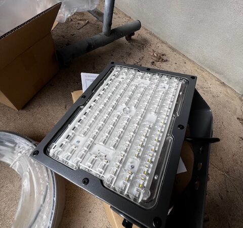 未来のスターを照らす灯