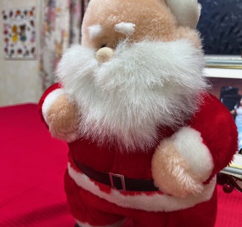 来た？サンタさん