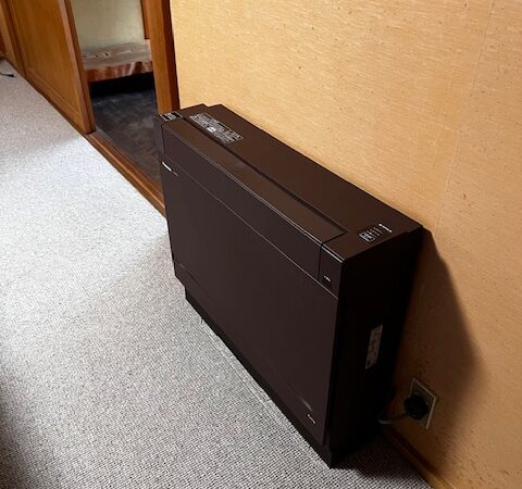 控えめやけど実力派