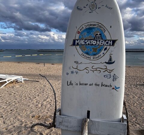 今年も南へ、満腹旅へ