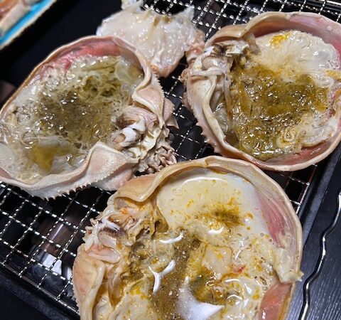 丹後でのんびり＆チャージ