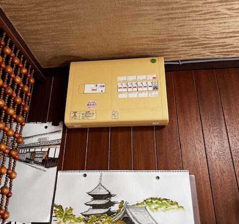 これ、補助金出すべきやつです