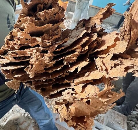 解体あるある「だいたい何かある」