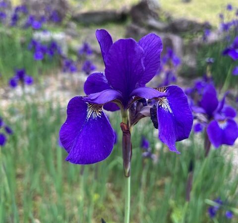 朝活ツー、ノープランでも大満足