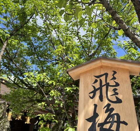 ノープランでも京都満喫