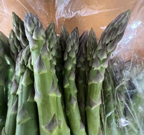 春野菜のエース、今年も