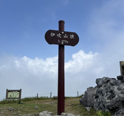 伊吹山の疲れは、伊吹が癒す